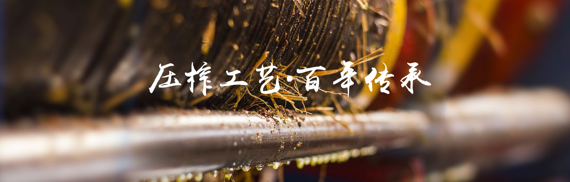 fun88_油茶莳植生产加工销售|植物油莳植生产加工销售 fun88_油茶莳植生产加工销售|植物油莳植生产加工销售
